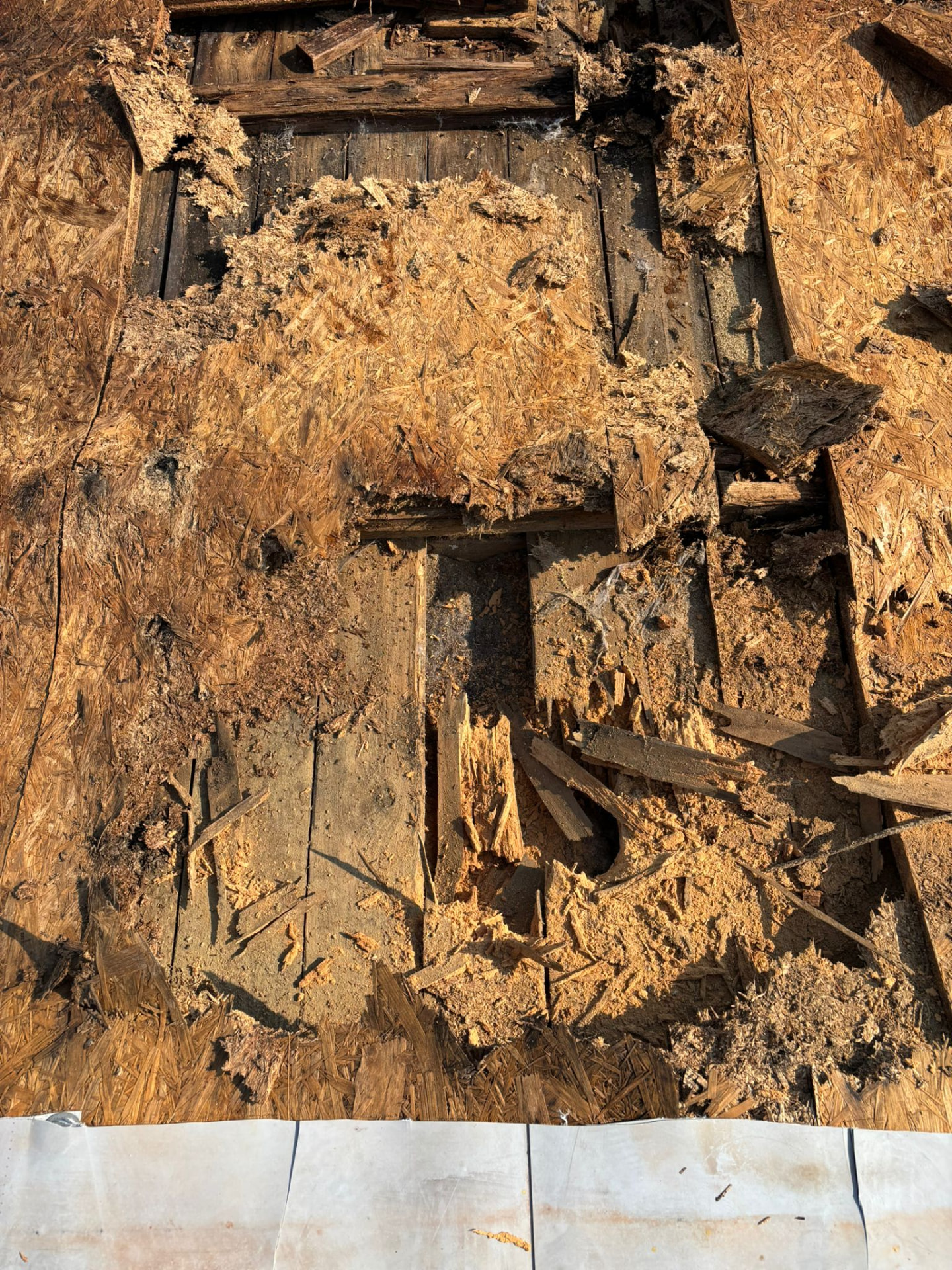 Detail der geschädigten alten Schalung in 1140 Wien